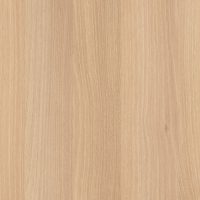 Акация Лорка