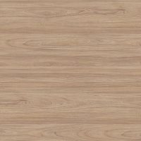 акация равелло